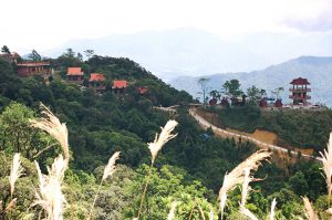 Ban dao son tra da nang son tra dn1