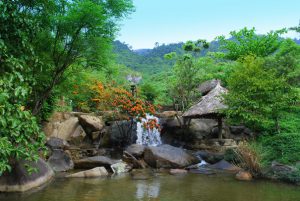 Suoi hoa11